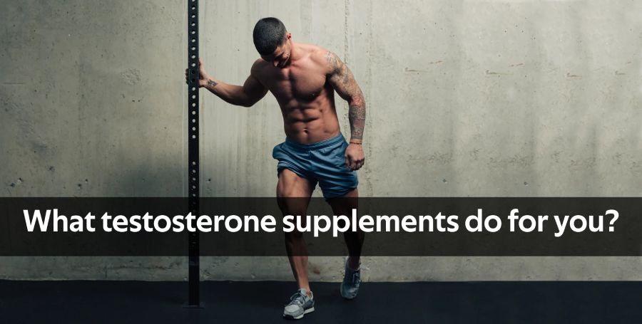 testosteron supplementen